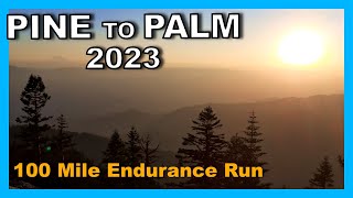 Pine To Palm 100 Mile Endurance Run 2023 [upl. by Sirotek]