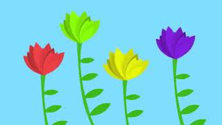 The Flower Song learning colors childrens educational song [upl. by Esilanna996]