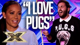 Andrea Faustini LOVES pugs  Unforgettable Audition  The X Factor UK [upl. by Agnesse]