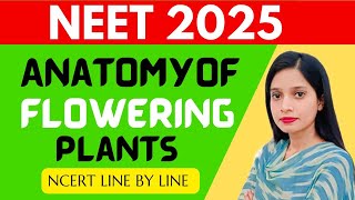 ANATOMY OF FLOWERING PLANTS 01 CLASS 11  CBSE  NCERT  NEET 2025  HANDWRITTEN FREE NOTES [upl. by Schlessinger]