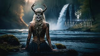 Nature Soul ༒ 3 Hours of Dark Folk Shamanic Nordic Music [upl. by Winzler]