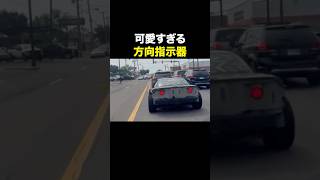 これが出てきたら許しちゃう海外の反応 海外のリアクション 外国人 おもしろ動画 爆笑動画 笑える バズった動画 癖が強い shorts ドッキリ [upl. by Ennazus]