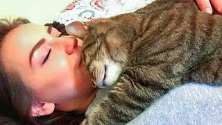 Snuggle Time Is Coming Cute Cats And Their Owners Sleep Together [upl. by Desimone]