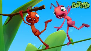 High Wire Act  🐛 Antiks amp Insectibles 🐜  Funny Cartoons for Kids  Moonbug [upl. by Hsirrehc]