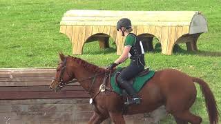 Shelby VanHoosier amp Stitch This Mister 2017 Hagyard Midsouth Threeday Event amp Team Challenge [upl. by Udale769]