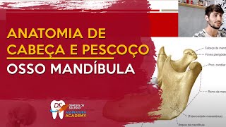 Osso Mandíbula  ANATOMIA DE CABEÇA E PESCOÇO [upl. by Acnairb]