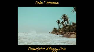 Cola X Nanana  Camelphat Peggy Gou TikTok Version Sped up [upl. by Alikahs235]