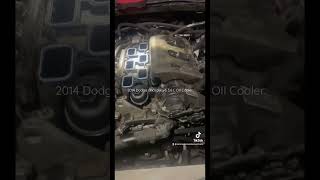 2014 dodge charger 36 L V6 oil cooler replacement [upl. by Reube52]