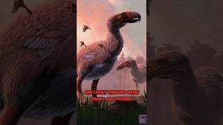 The Terror Bird “ Kelenken guillermoi “ [upl. by Alohs]