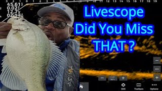 Livescope Crappie Fishing  See Crappie on Livescope that Most Pass Over Without Seeing [upl. by Misti756]