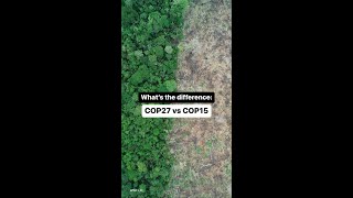 What is the difference between COP27 and COP15 WWF COP15 Biodiversity NaturePositive [upl. by Assiran952]