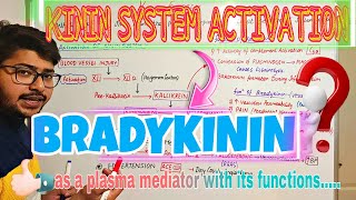 BRADYKININ release mechanismduring INFLAMMATIONKININ SYSTEM [upl. by Othella]