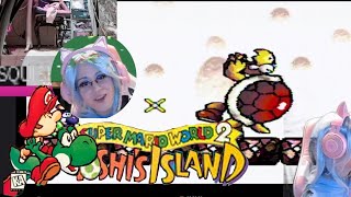 W4 L8 Hookbill The Koopas Castle  Yoshis Island Subathon Lets Play Part 2 [upl. by Bryna]