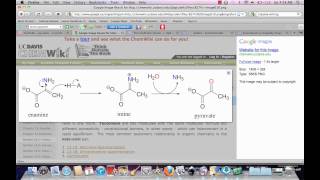 Imine amp Enamine Tautomerization [upl. by Aicirtak]