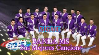 Banda MS Sigue 2013 [upl. by Chaffee]