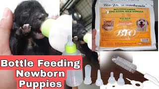 Bottle Feeding Newborn Puppies [upl. by Madelena510]