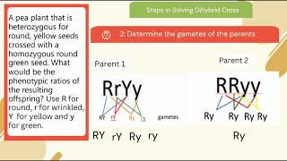 Dihybrid Cross Grade 8 Science [upl. by Naivad393]