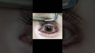 How to apply false Lashes ✨️hackeyelinerforbegi nners shortsytshorts [upl. by Anirbaz]