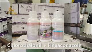 Chlorothalonil 250 GL  Hexaconazole 50 GL SC，Chlorothalonil  Hexaconazole，Mixture Fungicide [upl. by Ambert349]