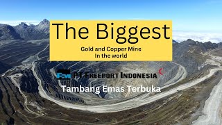 The Biggest Gold And Copper Mine FREEPORT INDONESIA Tambang Emas Terbesar di Dunia [upl. by Mcfarland]