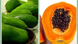 COMO HACER QUE UNA PAPAYA MADURE MAS RÁPIDO  Vídeos Chapines Y Mas [upl. by Narcho]