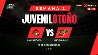 MÁXIMO AVANCE EN VIVO LINCES MÉXICO vs CHEYENNES IPN  JUVENIL OTOÑO  SEMANA 2 [upl. by Aray463]