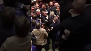 Brawl Breaks Out In Italian Parliament [upl. by Loriner914]