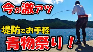 青物釣り初心者でも堤防で手軽に青物が釣れる！夏のスーパーライトショアジギングが超おすすめ！！ [upl. by Udale979]