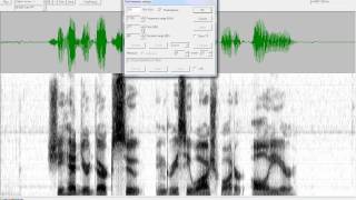 Tasko Speech Lab Altering Spectrogram Settings in TF32 [upl. by Skippie]