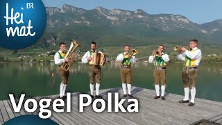 Traminer Tanzlmusig Vogel Polka  Musik in den Bergen l BR Heimat  die beste Volksmusik [upl. by Anatsirhc]