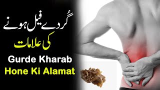 Gurde Kharab Hone ki Alamat  Health Tips Tv [upl. by Dorison439]