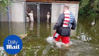 Incredible moment six dogs are rescued hurricane Florence flooding [upl. by Brooks149]