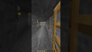 Minecraft Fake Door🤯 shorts [upl. by Leihcar]