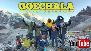 GOECHALA TREK OCTOBER 2024 ll Best trek in Sikkim ll goechala trek all details 👣👣👣🚶🚶🚶❤️❤️❤️ [upl. by Leveridge577]