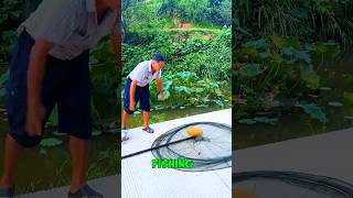 Fantastic Fishing with watermelon 🍉 🤣 animals nature fish [upl. by Airotciv50]