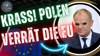 Migration Wie Polen vorangeht und Deutschland zurückbleibt [upl. by Stig]