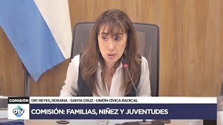 COMISIÓN COMPLETA FAMILIAS NIÑEZ Y JUVENTUDES  23 de octubre de 2024  Diputados Argentina [upl. by Anatollo]