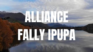 Fally Ipupa alliance [upl. by Stanton]