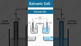 Galvanic cell or deniel cell class12chemistrynoy Electrochemistrymathswithsantosh physicswallah [upl. by Dietz287]