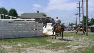 Yearling Prep Week 2 [upl. by Ronica]