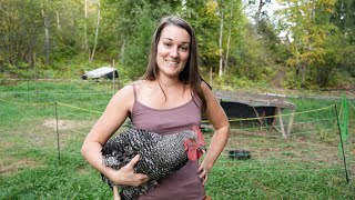 Filling Our Freezer  Butchering Meat Chickens [upl. by Tenahs]