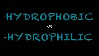 Hydrophobic vs Hydrophilic  Biology Tutorial [upl. by Esserac]