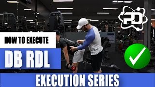 How to Dumbbell Romanian Deadlift RDL  Hamstrings amp Glutes [upl. by Nonnaihr420]