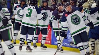 Hampton Roads Whalers USPHL Southern Showcase  Top 5 Goals [upl. by Filippa]