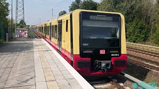 SBahn Berlin  2x BR 484 Durchfahrt in Mühlenbeck Mönchmühle verfolgt vom RE5 mit BR146 [upl. by Fionna823]