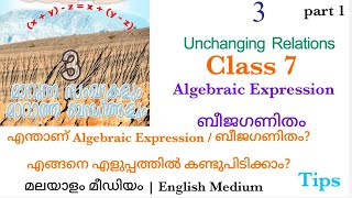 class 7  mathematics  chapter 3  മാറുന്ന സംഖ്യകളും മാറാത്ത ബന്ധങ്ങളും  Unchanging Relation [upl. by Yroger]