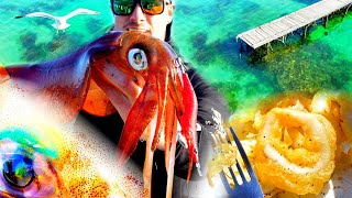 How To Catch amp Cook Squid  Jetty Fishing [upl. by Reivaz]