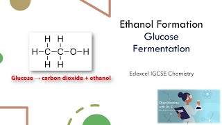 Ethanol formation Fermentation of Glucose Edexcel IGCSE Chemistry [upl. by Aidnama473]