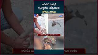 iSmart News  కాపాడిన మనిషికి కృతజ్ఞతలు చెప్పేందుకు కోతుల ఆరాటం  TV9 [upl. by Irelav]