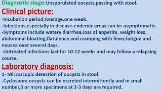 cyclospora cayetanensis [upl. by Lancelot]